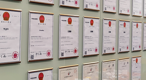 东莞自动拉钉机_铆钉枪_铆螺母枪